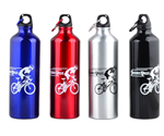 Aluminum Promotional Sports Bottle
